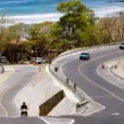 Carretera Costanera ayudará a proteger el bosque seco