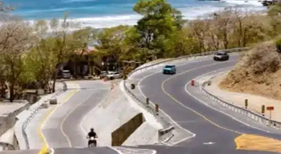 Carretera Costanera ayudará a proteger el bosque seco
