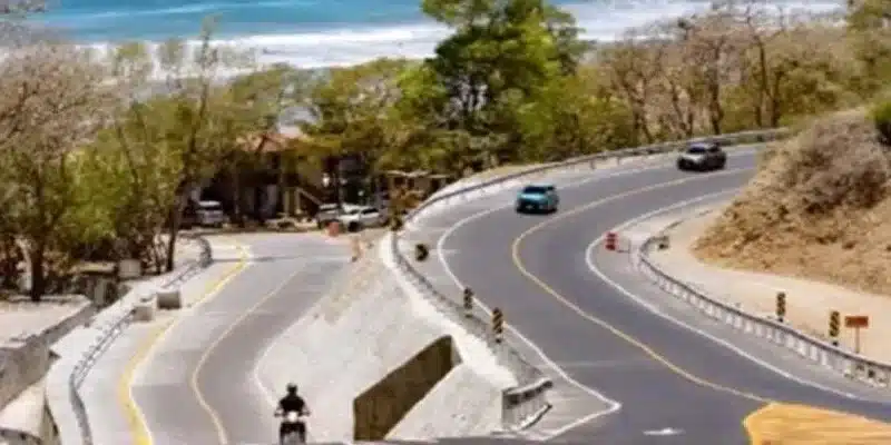 Carretera Costanera ayudará a proteger el bosque seco