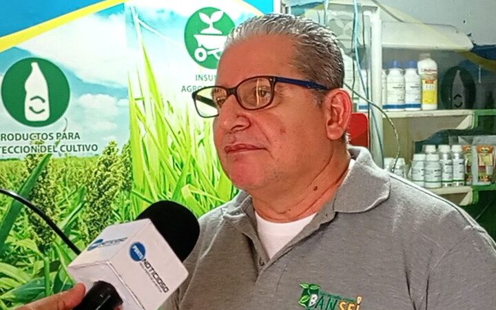 Profesional agropecuario: “Se debe sembrar hasta que el suelo alcance la humedad necesaria”