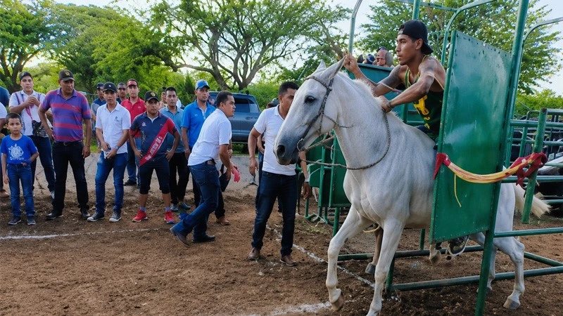 No se realizarán las carreras de caballos en la antesala de la fiesta de Juigalpa