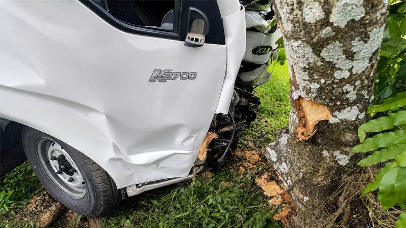 Camión impactó contra un árbol después de colisionar a un motociclista.