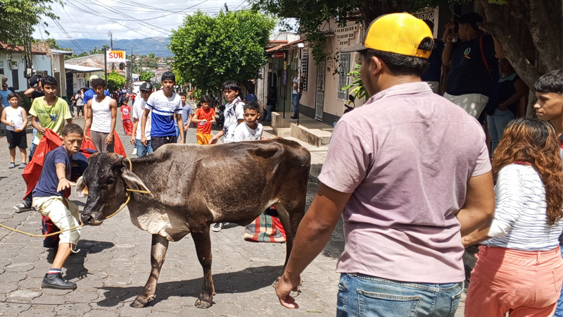 Rifa del ternero en Juigalpa. 