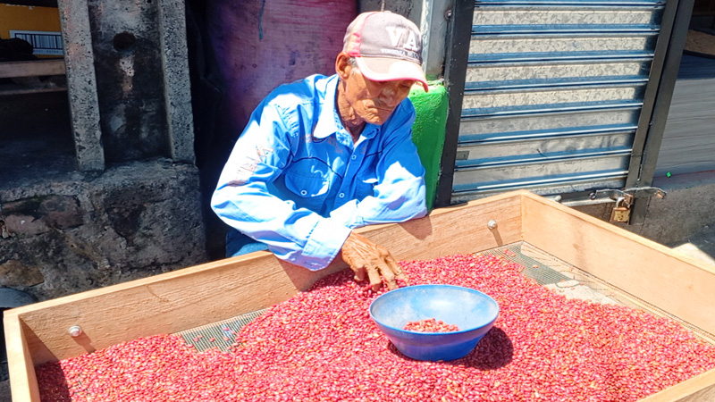 Precio del frijol rojo se mantiene estable en el Mercado de Juigalpa-Foto Punto Noticioso
